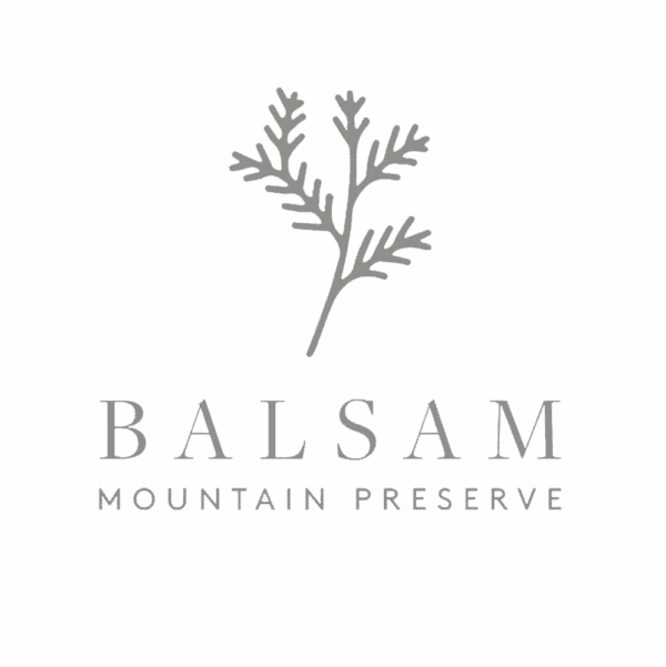 Gray botanical illustration above the words Balsam Mountain Preserve in elegant, uppercase lettering on a light background.